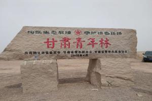 构筑生态屏障·守护绿色丝路──青年学子展风采，压沙造林护生态