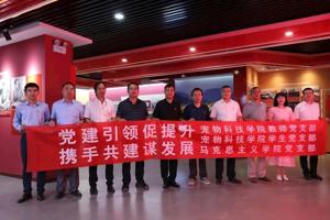 党建引领促提升 支部共建谋发展