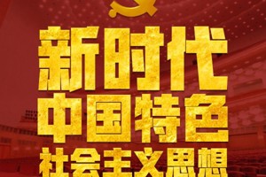 世界杯8833300足球教师简介